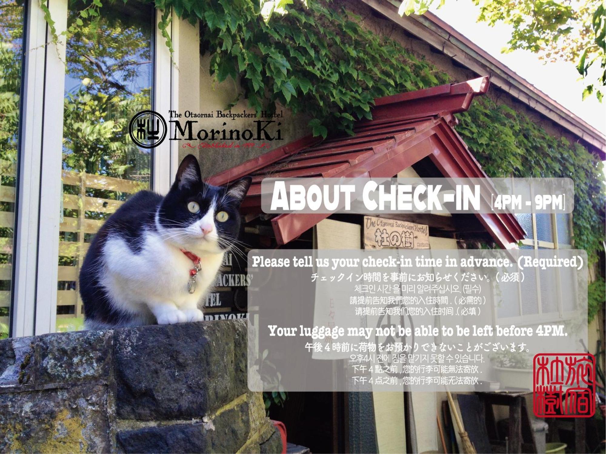 The Otaornai Backpacker'S Hostel Morinoki Otaru Exterior photo